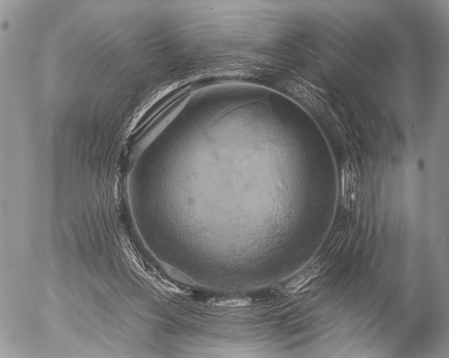 X0000057040156200509161448