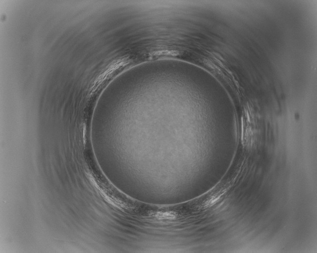 X0000057040157200509161448