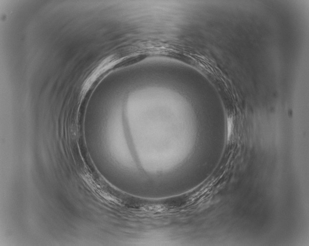 X0000057040195200509161448