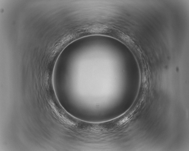 X0000057040201200509161447