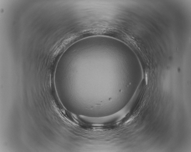 X0000057040205200509161447