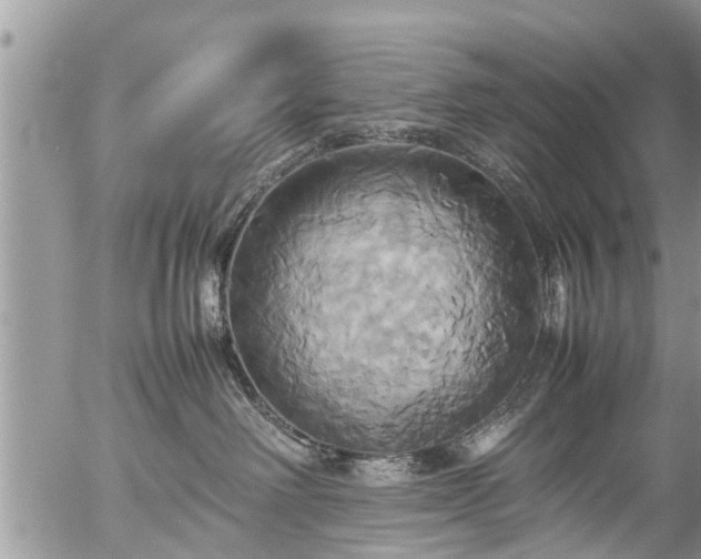 X0000057040238200509161447