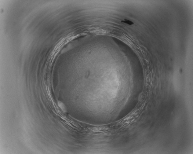 X0000057040241200509161446