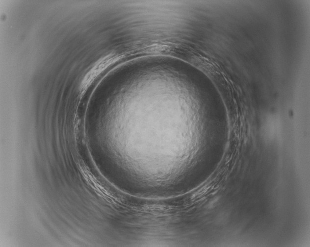 X0000057040242200509161446