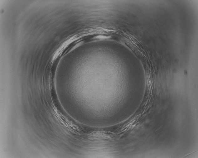 X0000057040244200509161446