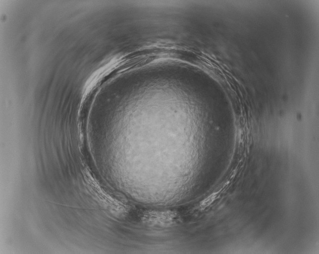 X0000057040245200509161446