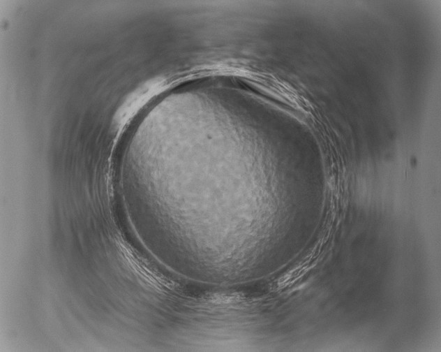 X0000057040248200509161446