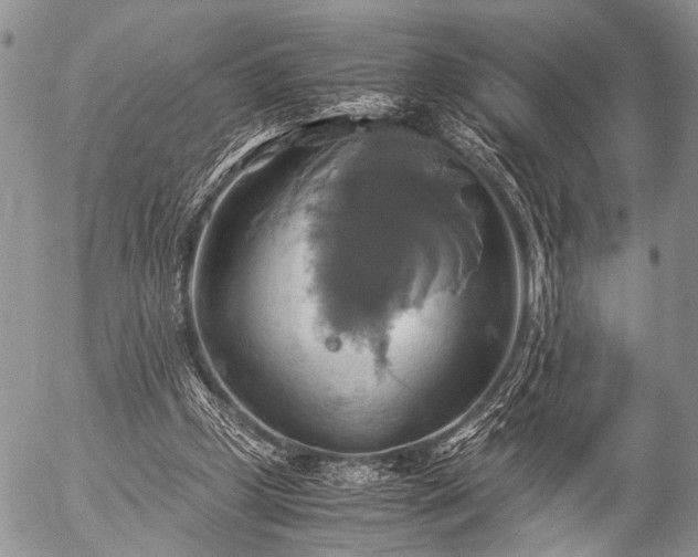 X0000057040249200509161446