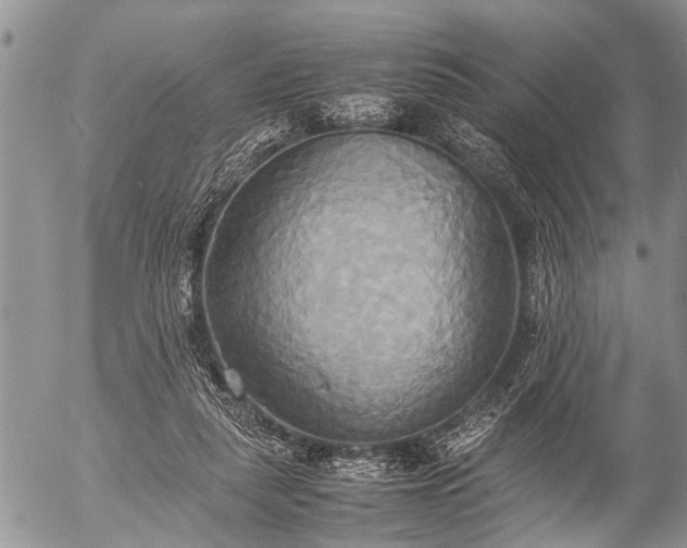 X0000057040259200509161446