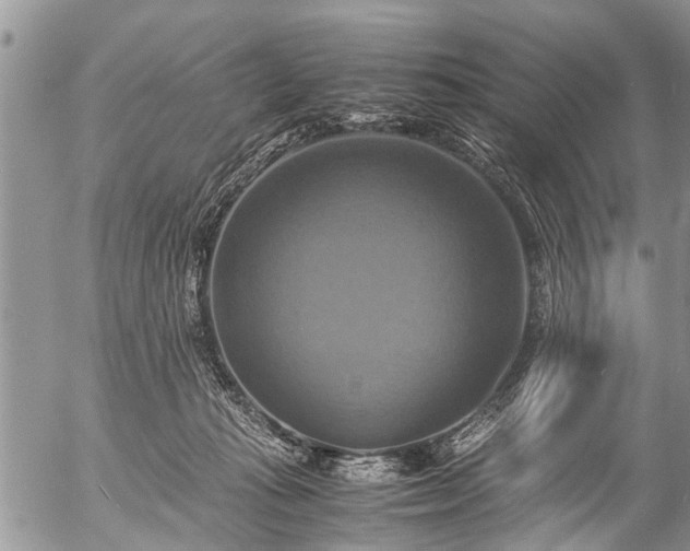 X0000057040269200509161447