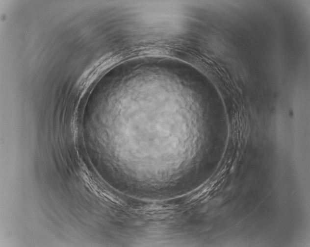 X0000057040290200509161446
