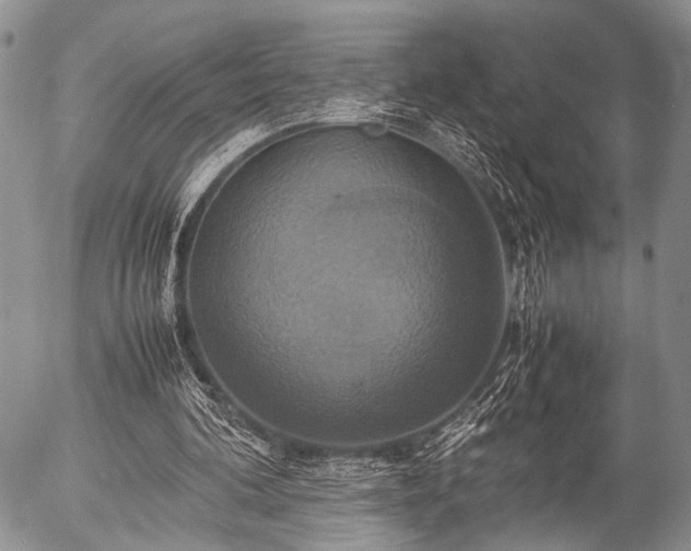 X0000057040292200509161446