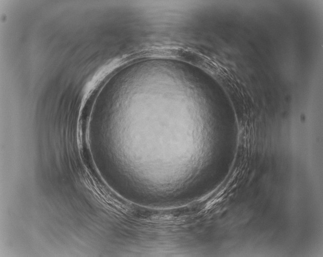 X0000057040294200509161446