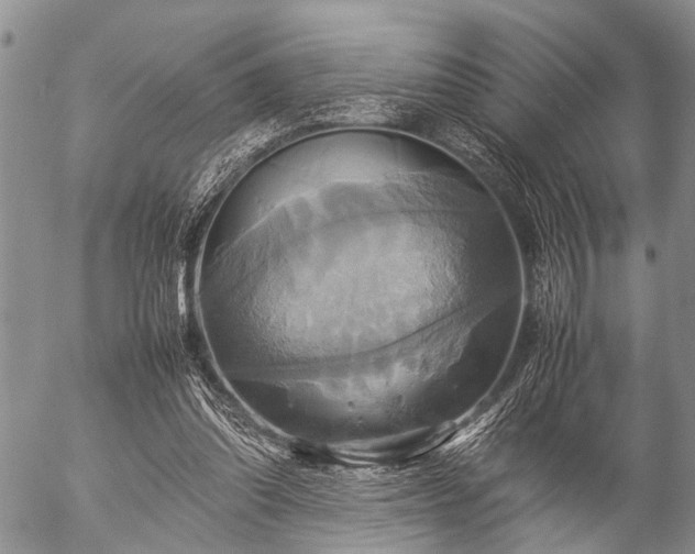 X0000057040302200509161446