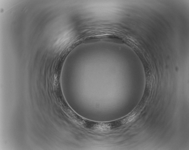 X0000057040327200509161445