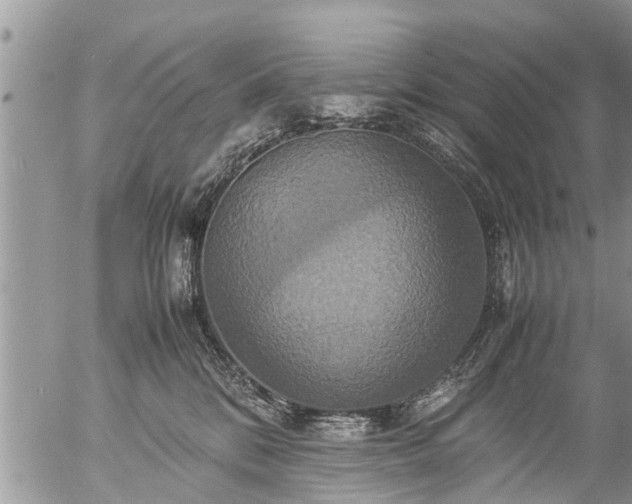 X0000057040328200509161445
