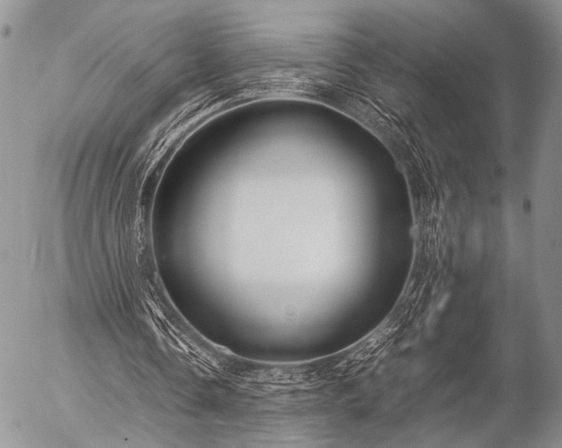 X0000057040338200509161445