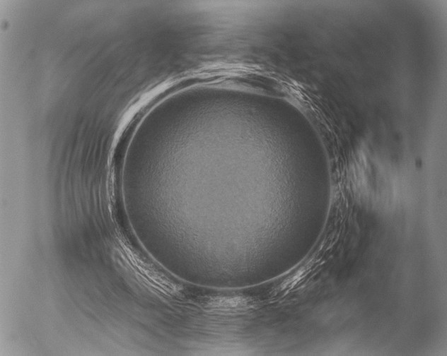 X0000057040342200509161445