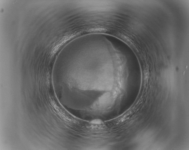 X0000057040345200509161445