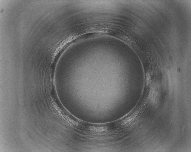 X0000057040349200509161445