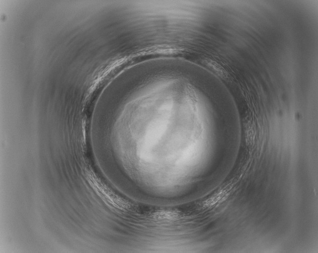 X0000057040350200509161445