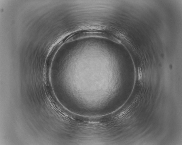 X0000057040388200509161444