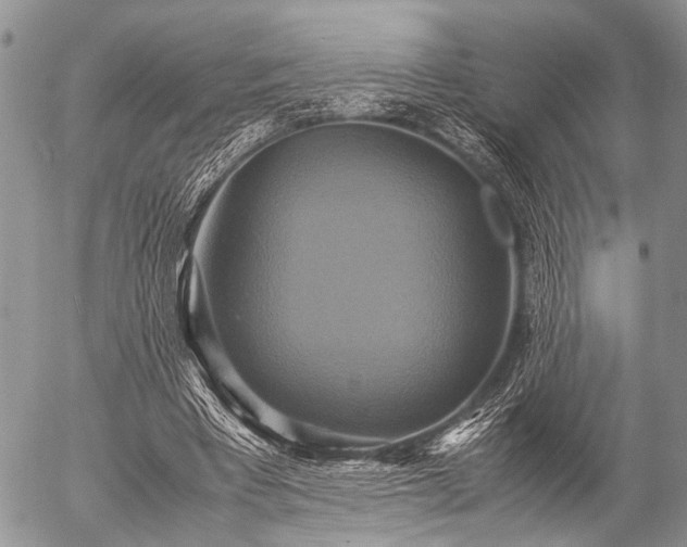X0000057040393200509161444