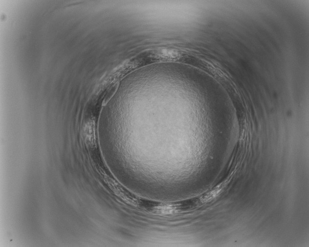 X0000057040425200509161444