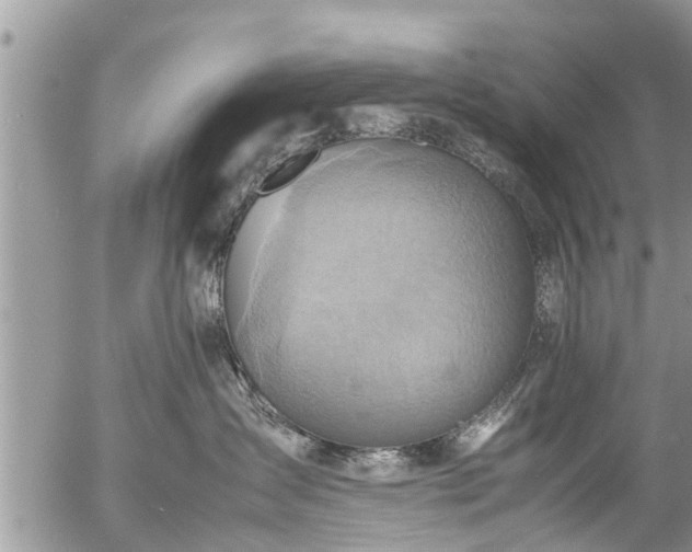 X0000057040431200509161444