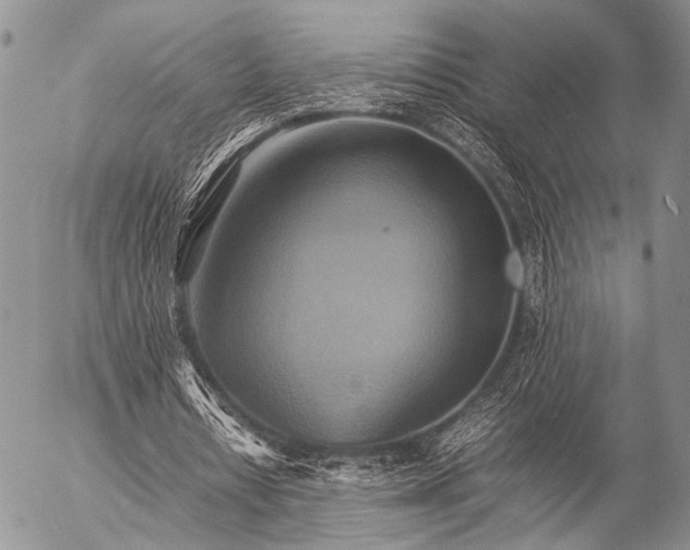 X0000057040434200509161443