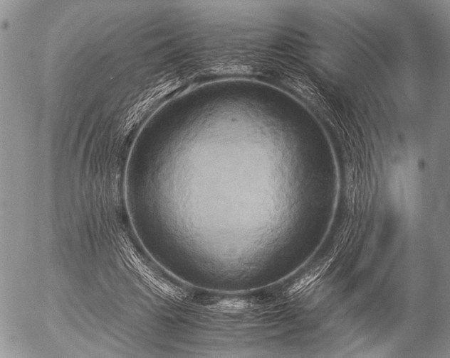 X0000057040441200509161443