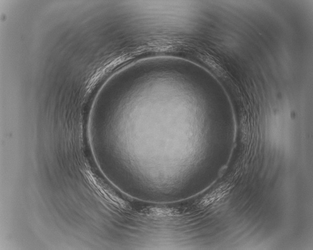X0000057040442200509161443