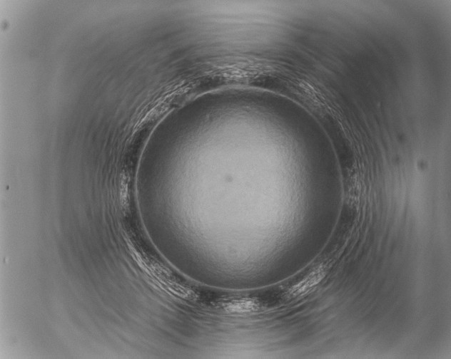 X0000057040456200509161443