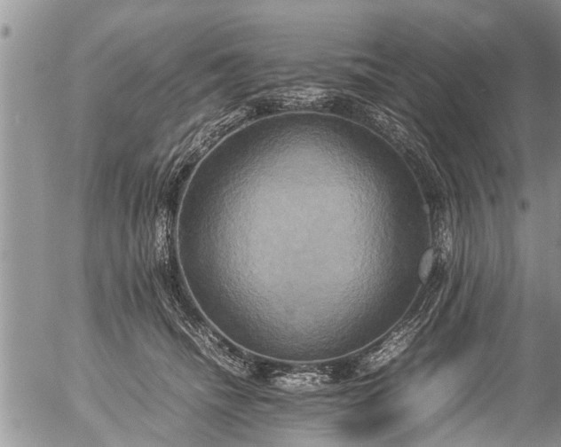 X0000057040468200509161444