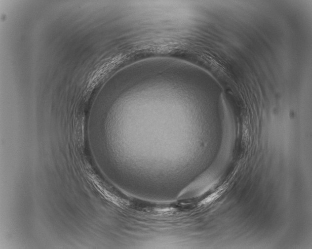 X0000057040493200509161443