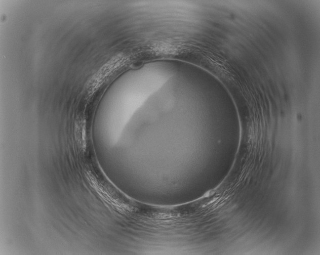 X0000057040494200509161443