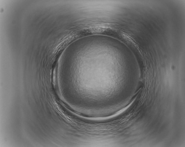 X0000057040501200509161443