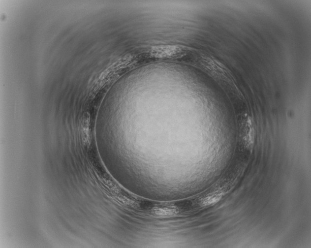 X0000057040510200509161442