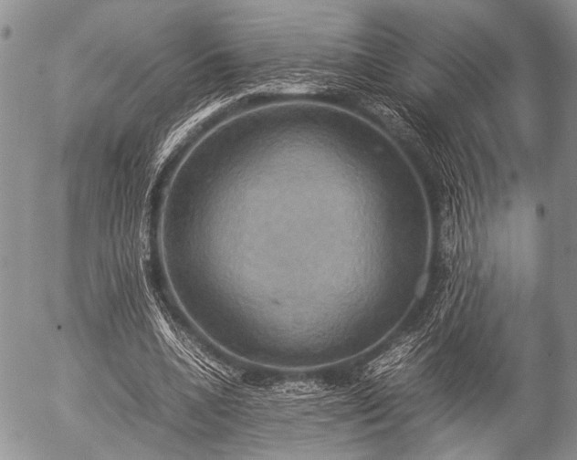 X0000057040536200509161441