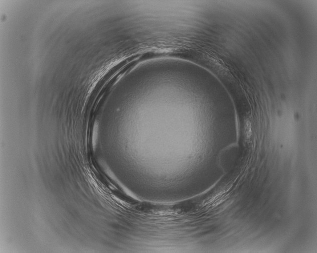 X0000057040540200509161442