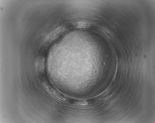 X0000057040554200509161442