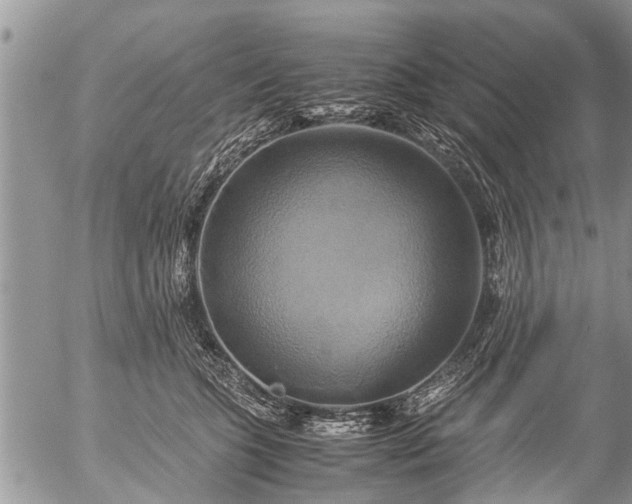 X0000057040563200509161442