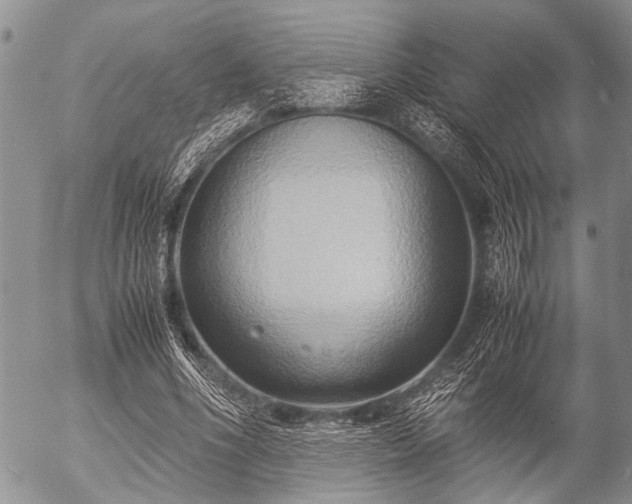 X0000057040586200509161441