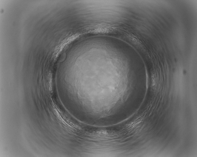 X0000057040588200509161441