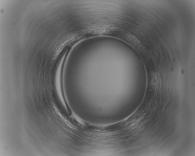 X0000057040590200509161441
