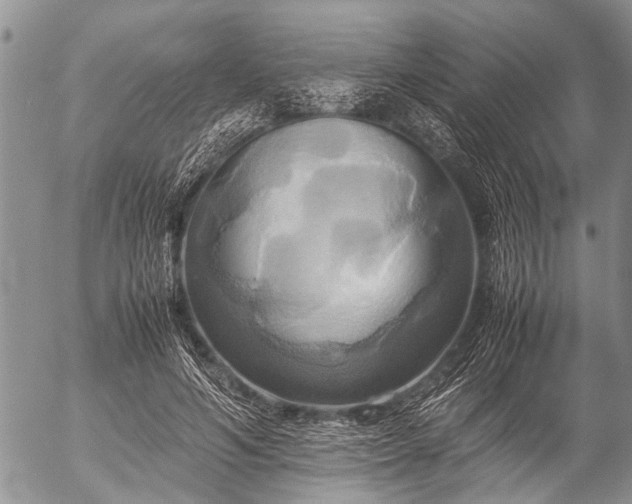X0000057040594200509161441