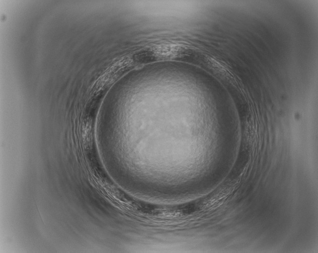 X0000057040601200509161441