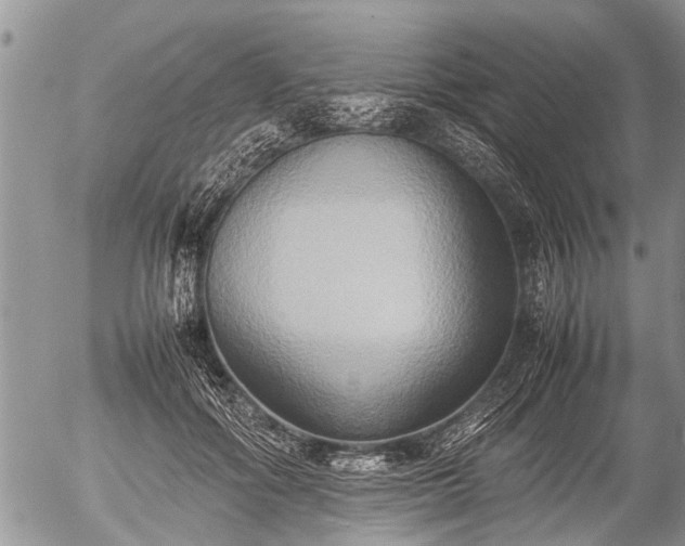 X0000057040602200509161441