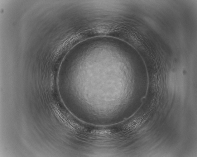 X0000057040639200509161440