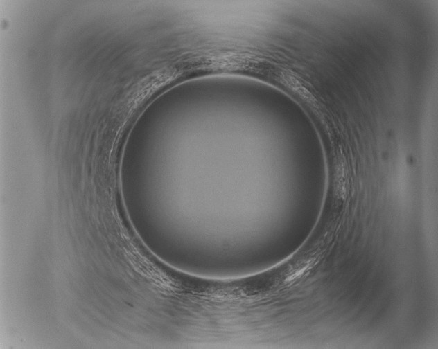 X0000057040673200509161440